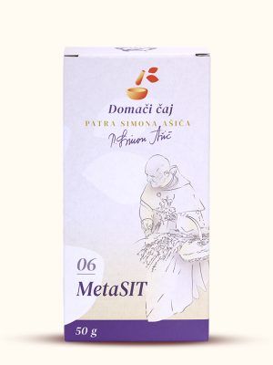 (06) MetaSIT