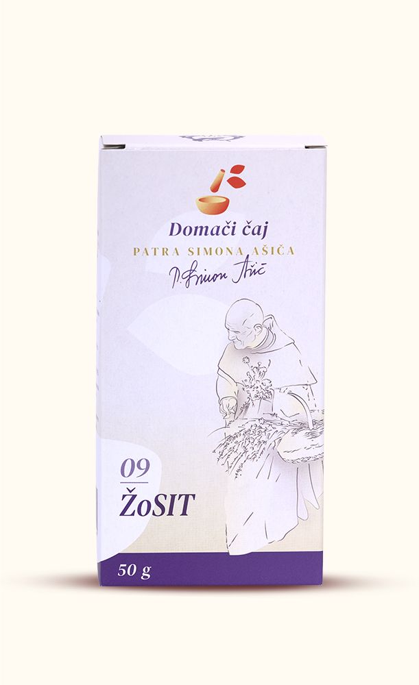 (09) ŽoSIT