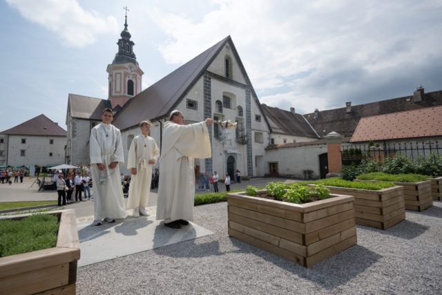 Semanji dan Stična junij 2023, Foto: Tamino Petelinšek